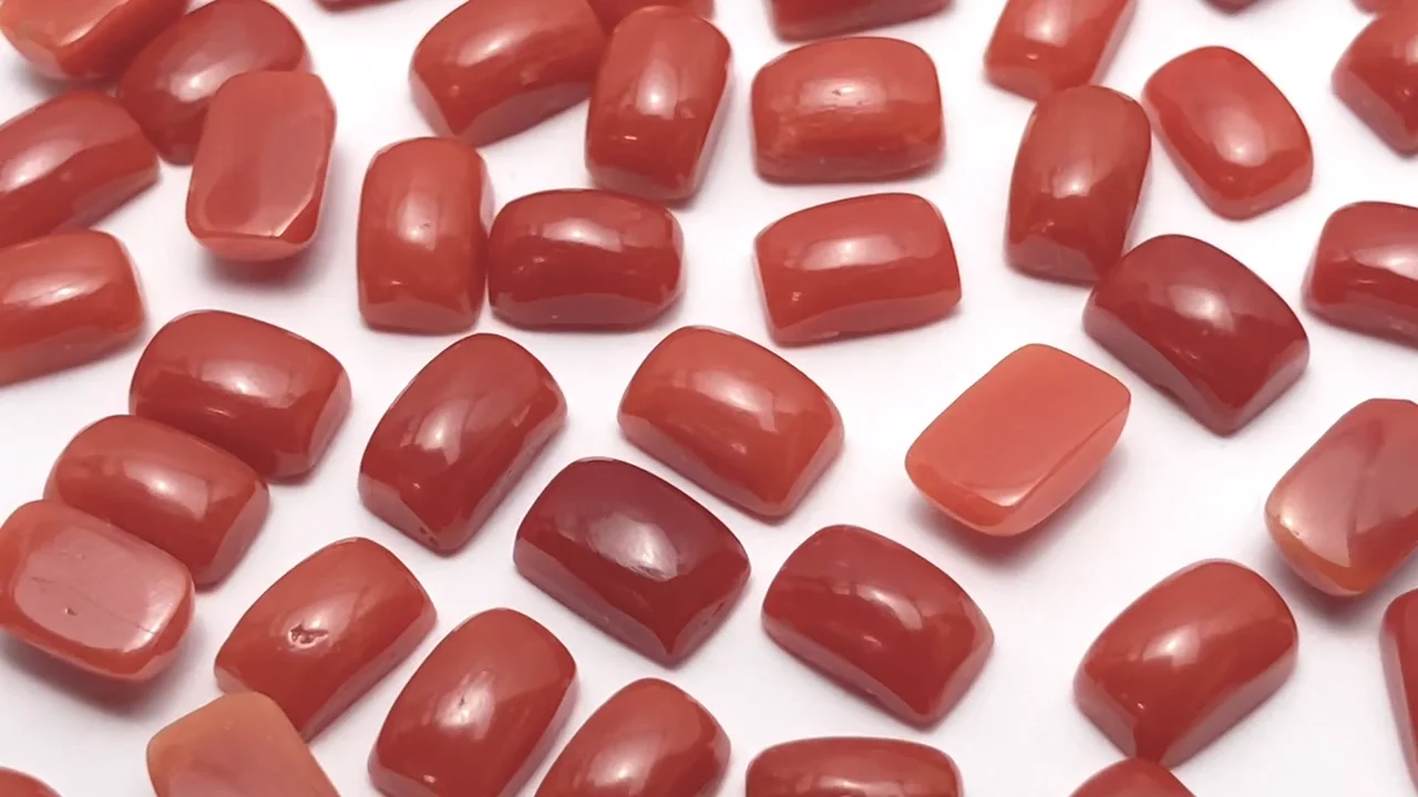 動画】サルデーニャ産本珊瑚・レッドコーラル レクタングル カボション