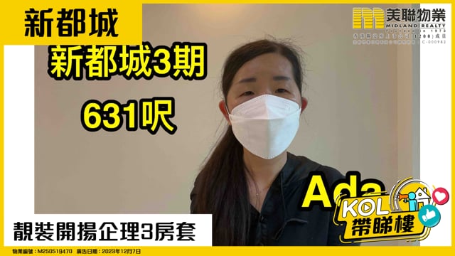 靚裝開揚企理3房套