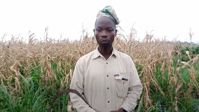 Nos pauvres maïs - Vidéo ePOP