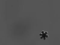 Spinning up control: Propeller shape helps direct nanoparticles, researchers say