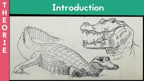 Apprendre à tout dessiner 2 - Symétrie courbe et reptiles