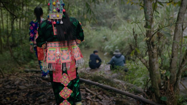 Xuan's Brave Witness in Vietnam