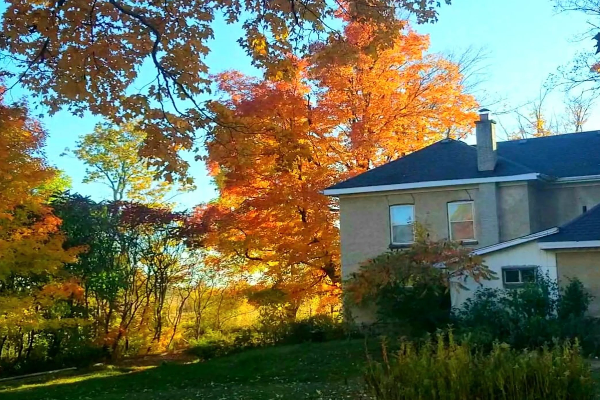 1592 Centre Rd, Flamborough V2 on Vimeo