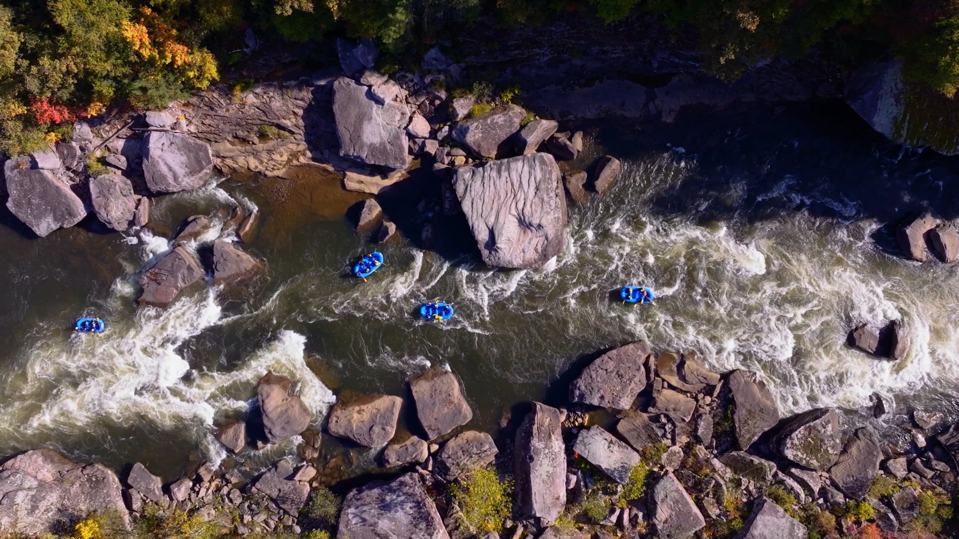 ACE Adventure Resort