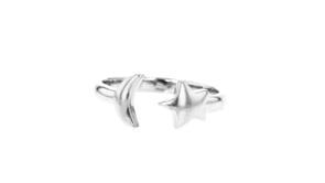 Sterling Silver Jewelry Set Three Toe Rings