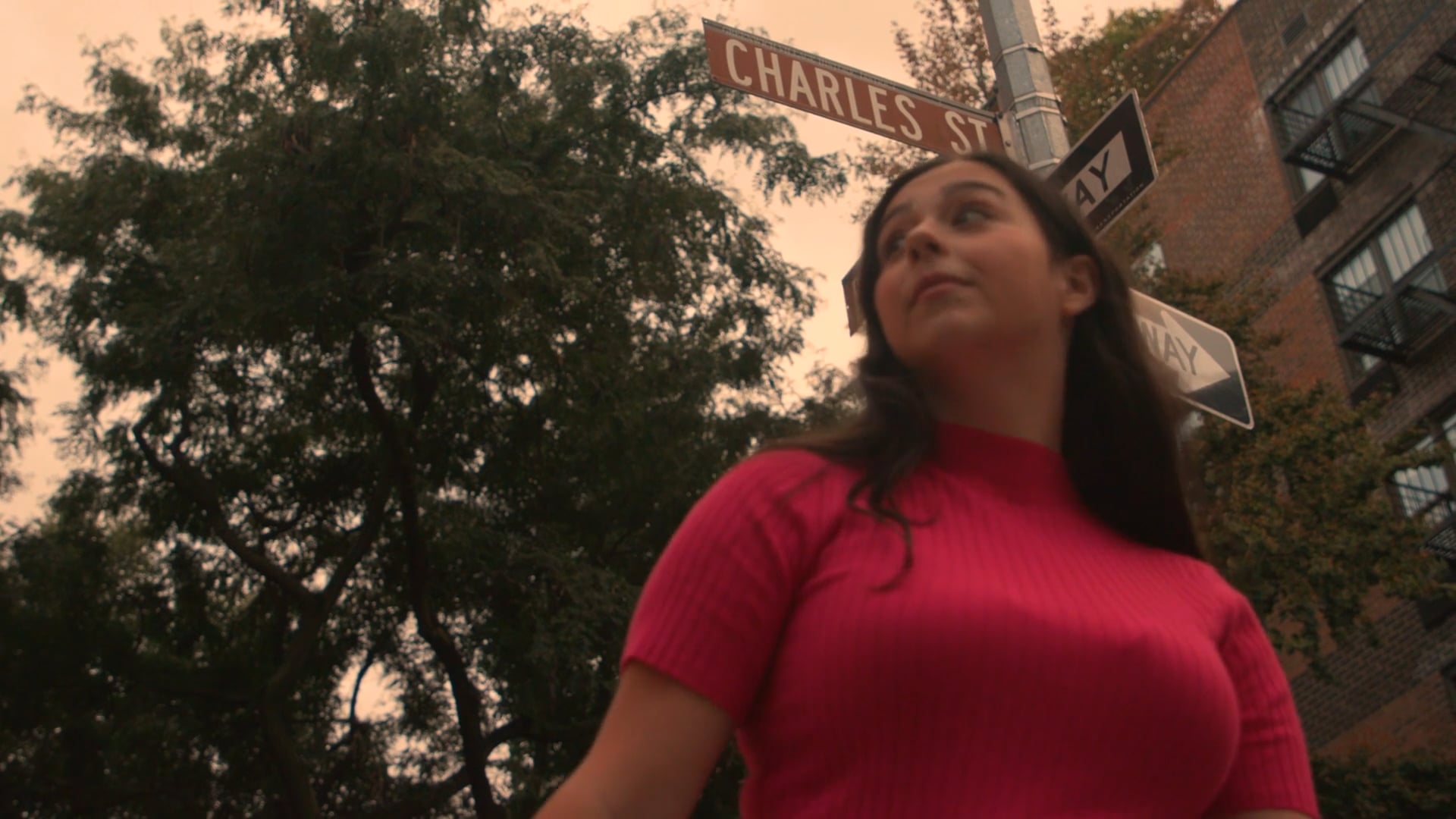 Five Minutes on Charles Street Official Book Trailer