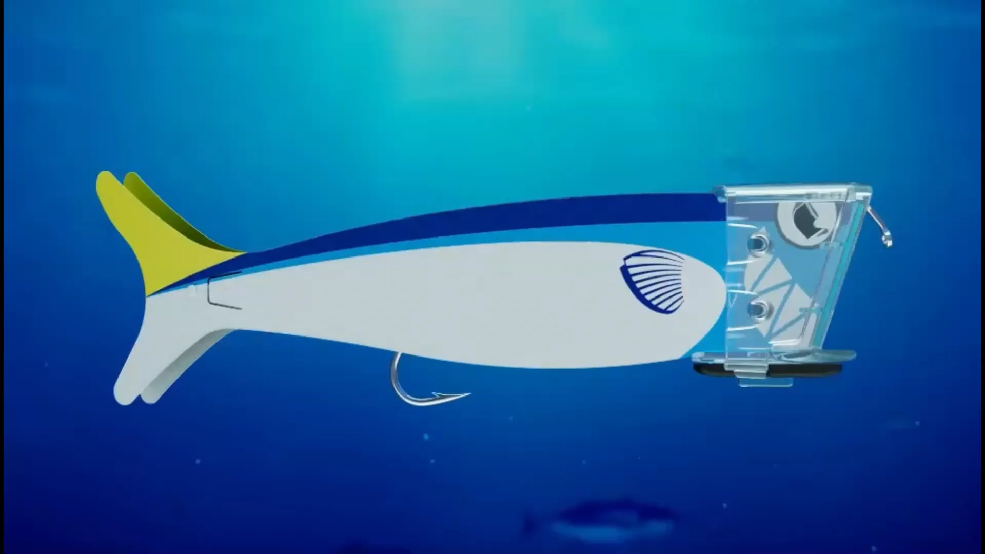 sea-lime-side-loop-on-vimeo