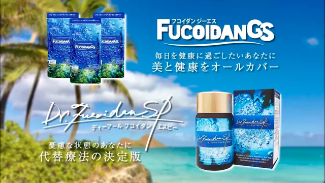 アミン フコイダンGS 60粒×3袋 新品（サプリメント を高価買取