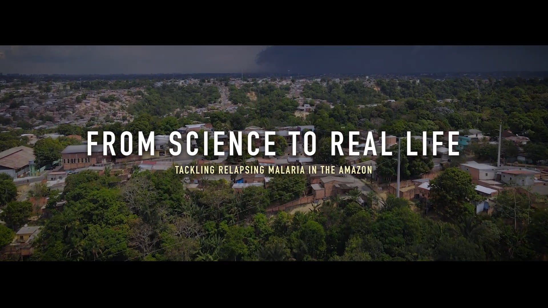 From science to real life： Tackling relapsing malaria in the Amazon (full-length 2023 version)