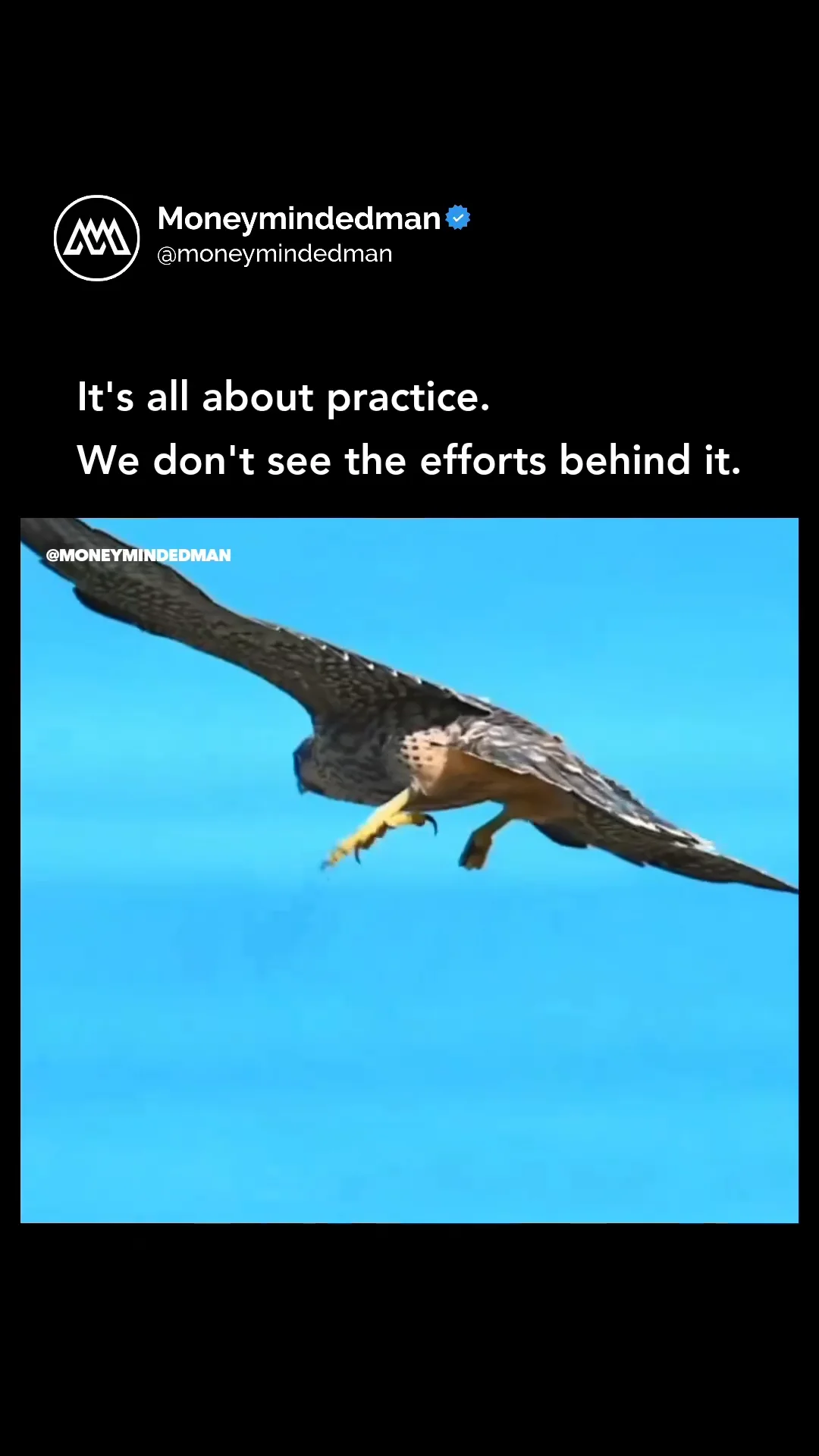 Snapsave.app_318391122_879004200440381_3878652413083851499_n on Vimeo