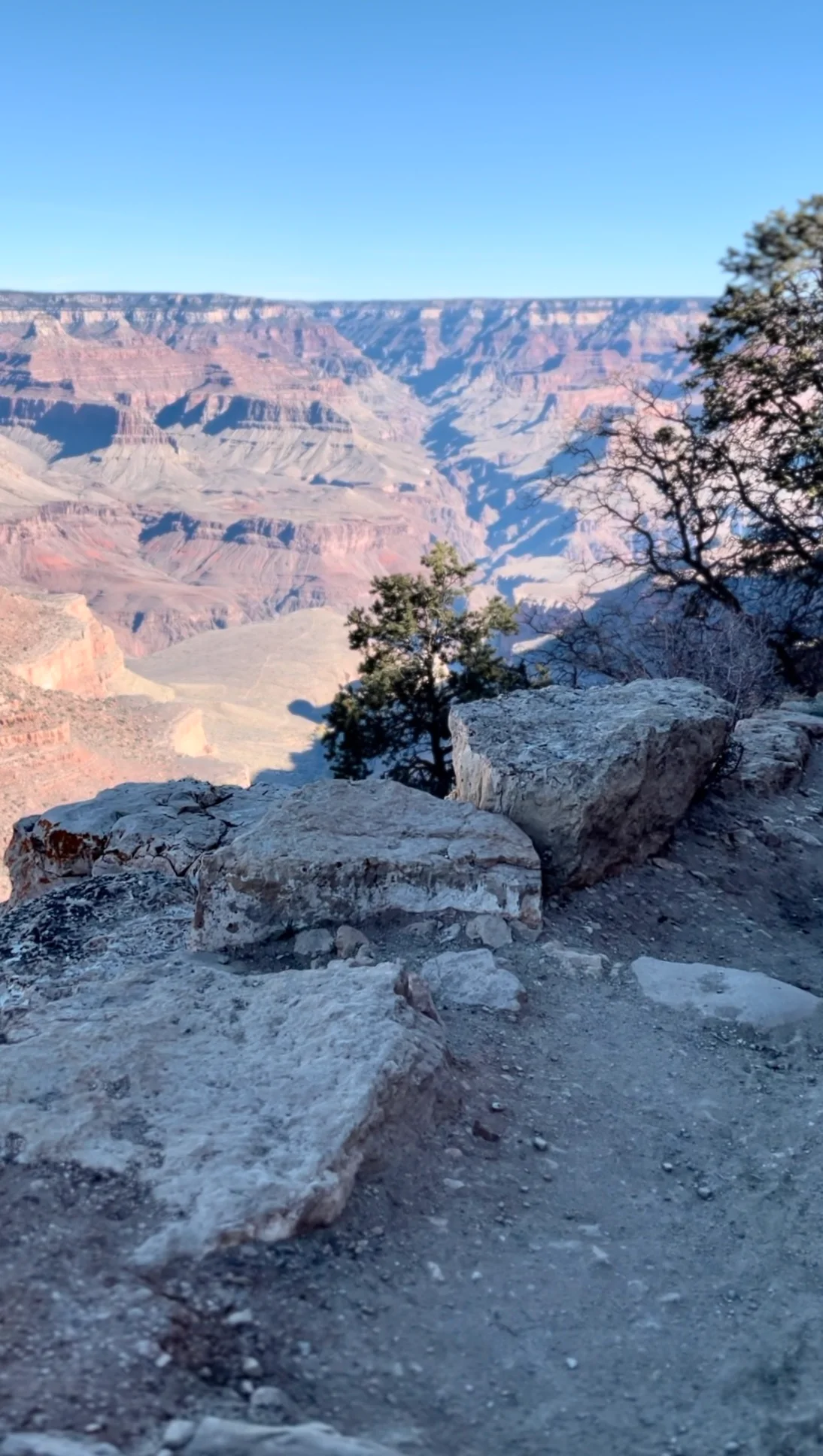 The Grand Circle #5｜Grand Canyon 峡谷内を歩いて下る🐾 - San