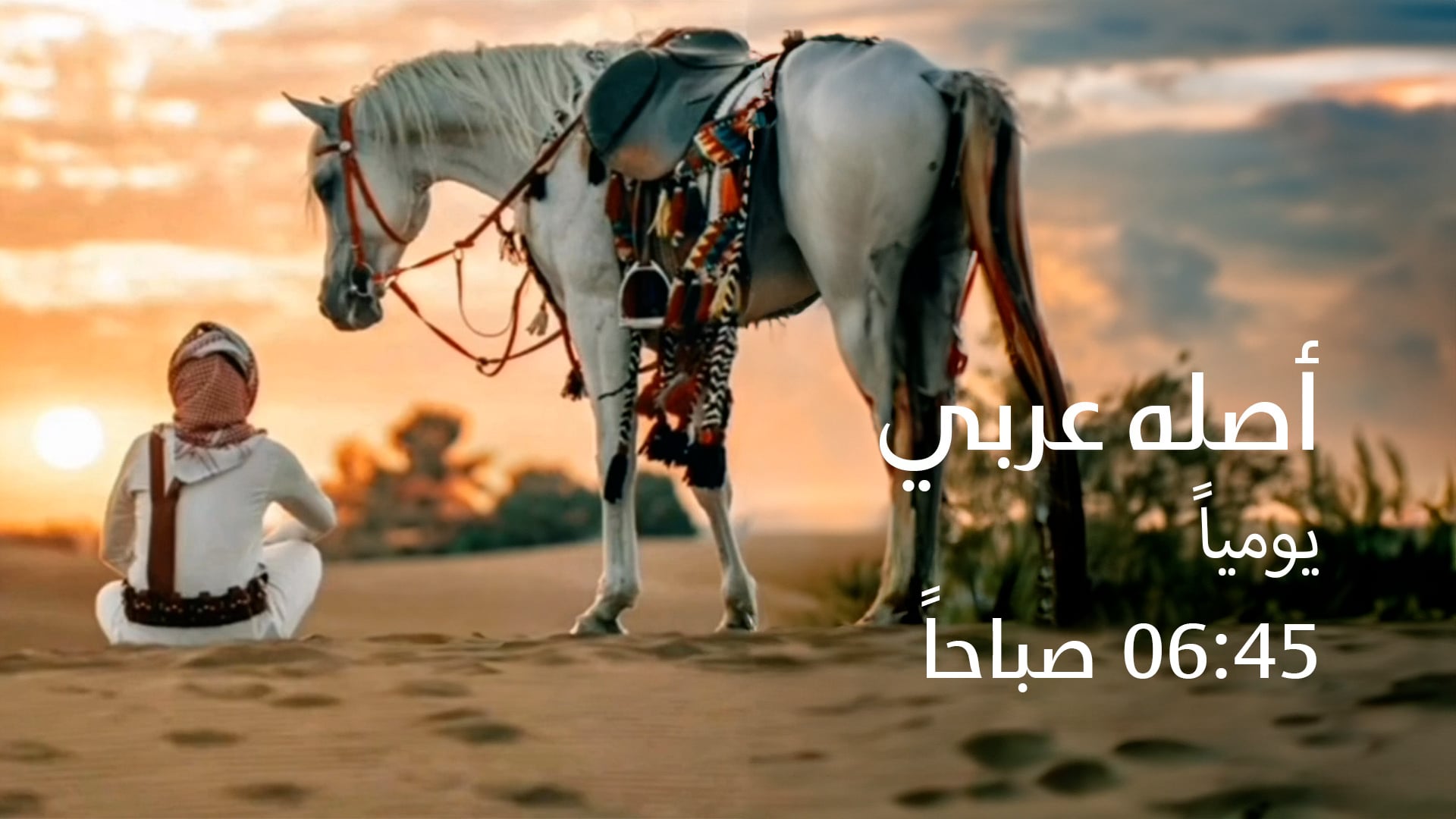 أصله عربي 
