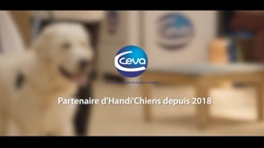 CEVA x Handi'Chiens