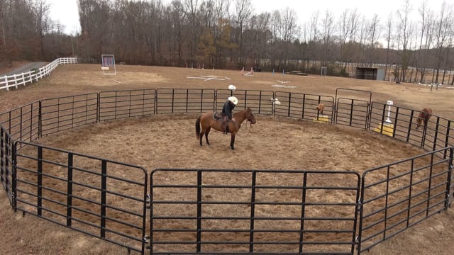 Mocha Day 9: Mocha shows some issues with being mounted