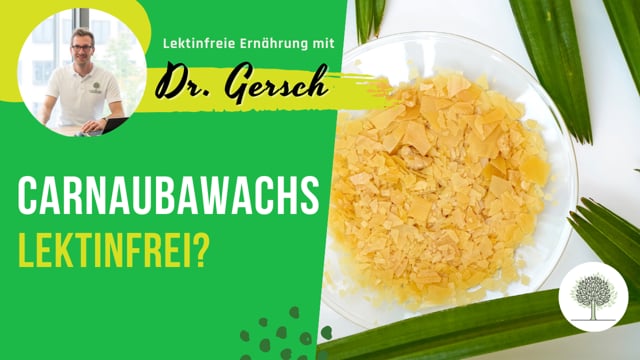 Ist Carnaubawachs lektinfrei