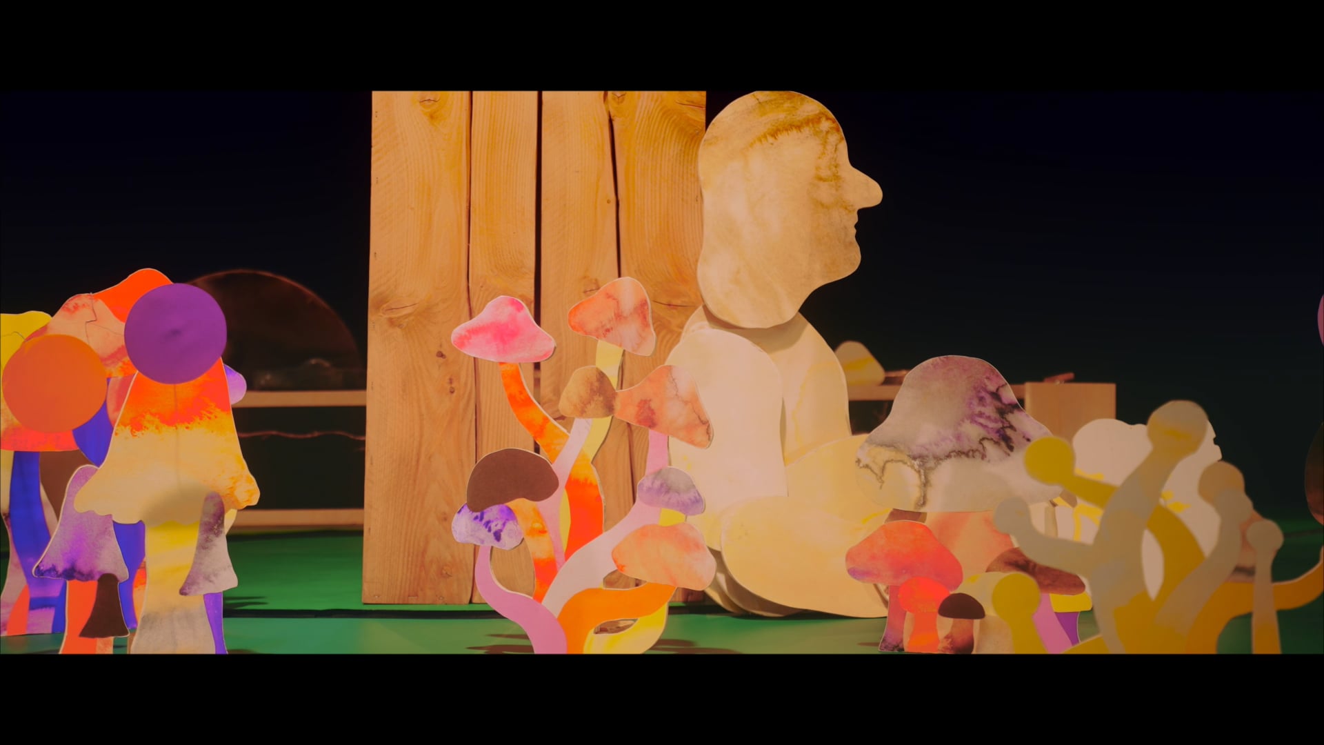 Teaser Le silence du champignon_Cie TACTUS