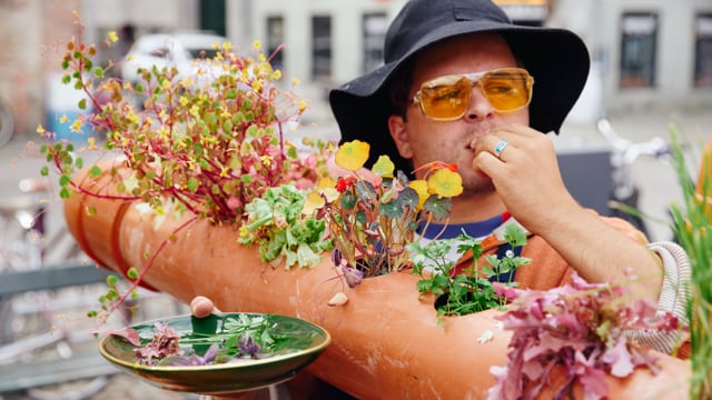 Vinyl Veggies