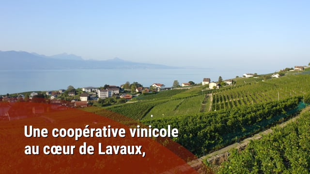 Union Vinicole de Cully - Espace de location Vinilingus – click to open the video
