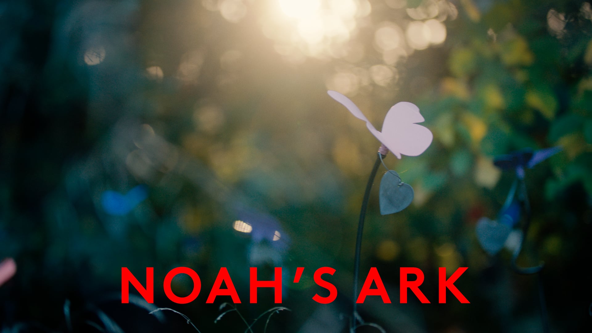 Noah's Ark | Nadia