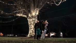 Tree Lighting - Social Media