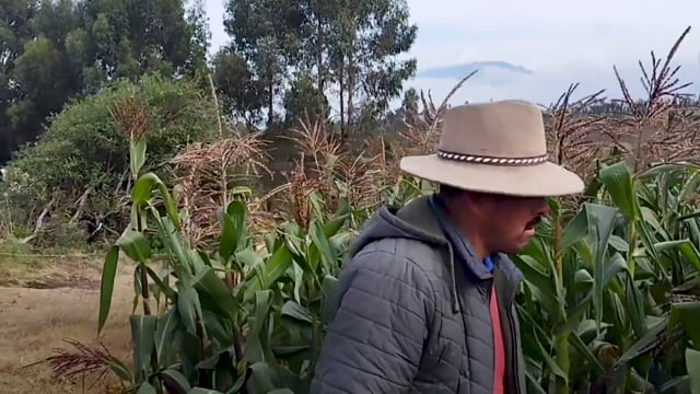 Le chant de la terre qui pleure - Vidéo ePOP