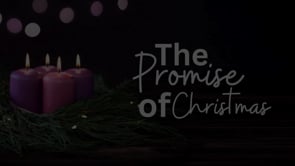 A Promise Made