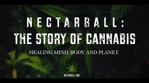Documentary "Nectarball: The Story of Cannabis"