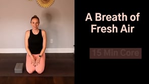 Related Embedded Video Item Thumbnail