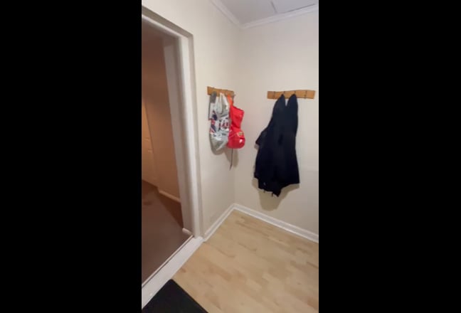 Video 1: