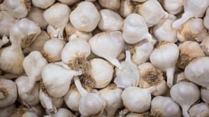 Garlic phobia