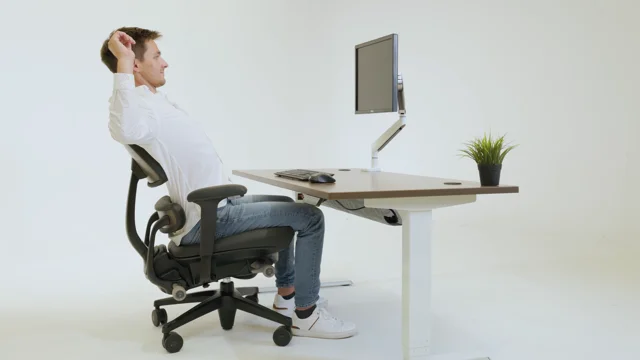 Anthrodesk ergonomic discount office chair review