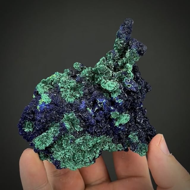 Azurite on Malachite (stalactitic) - circa 1929