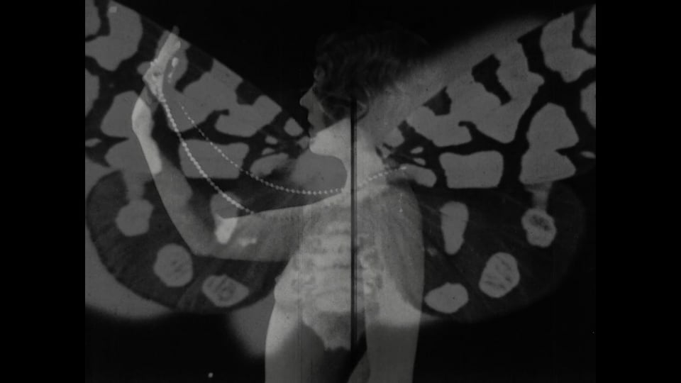 Negative / Positive Film
