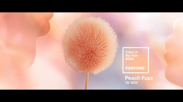 PANTONE® USA, PANTONE 13-1023 Peach Fuzz