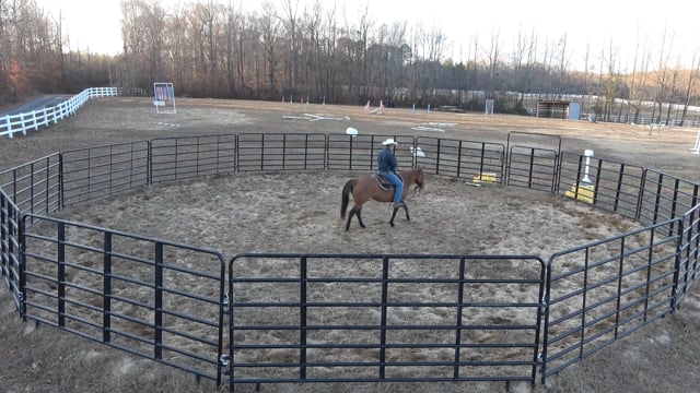 Mocha Day 12: Making progress under saddle