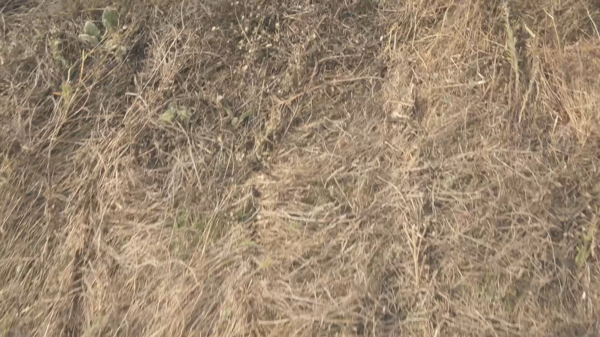 Les Nouveaux Paysans Extrait