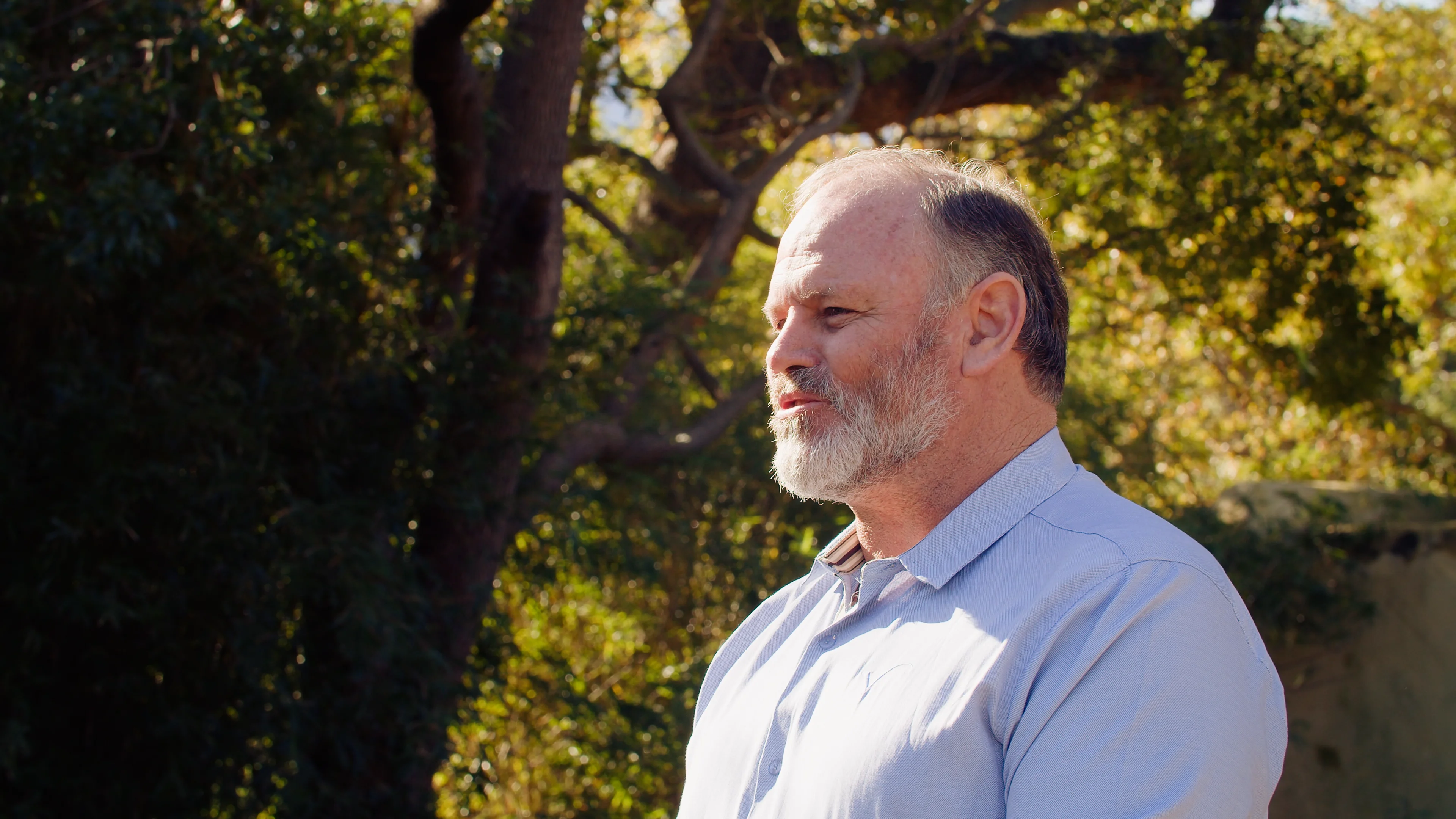 Old Oak on Vimeo