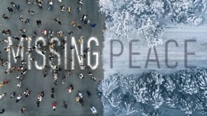 Missing Peace Bump