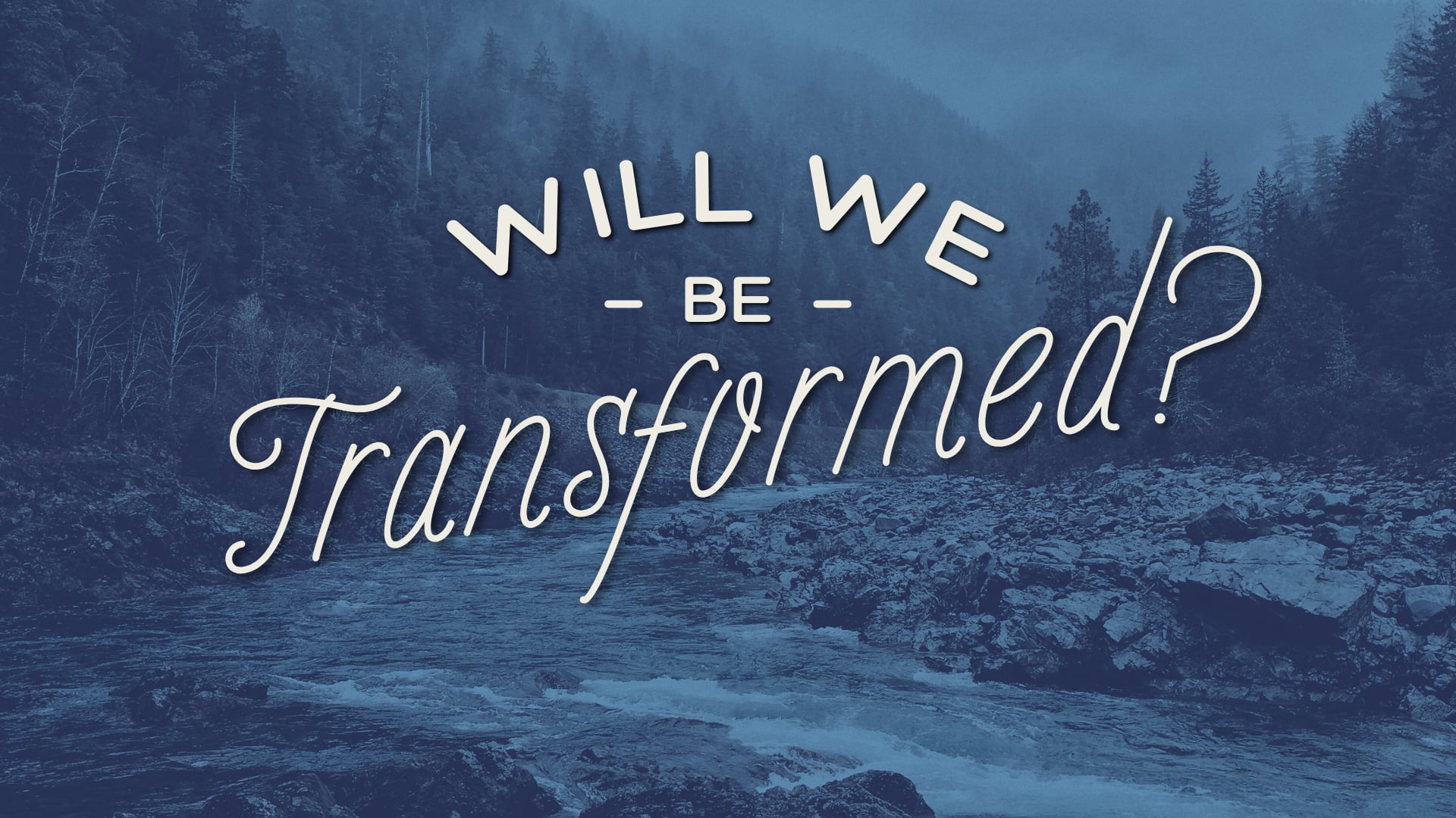 Garden Ridge Online Service December 10, 2023