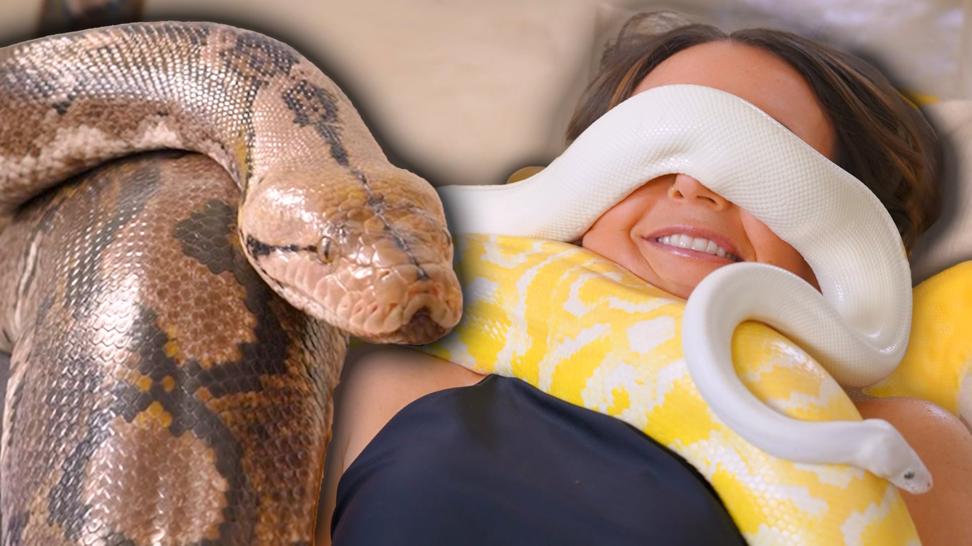 Overhealed LA: Snake Massage