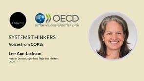 Lee Ann Jackson - COP28 Systems Thinkers