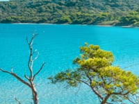 Related Embedded Video Item Thumbnail