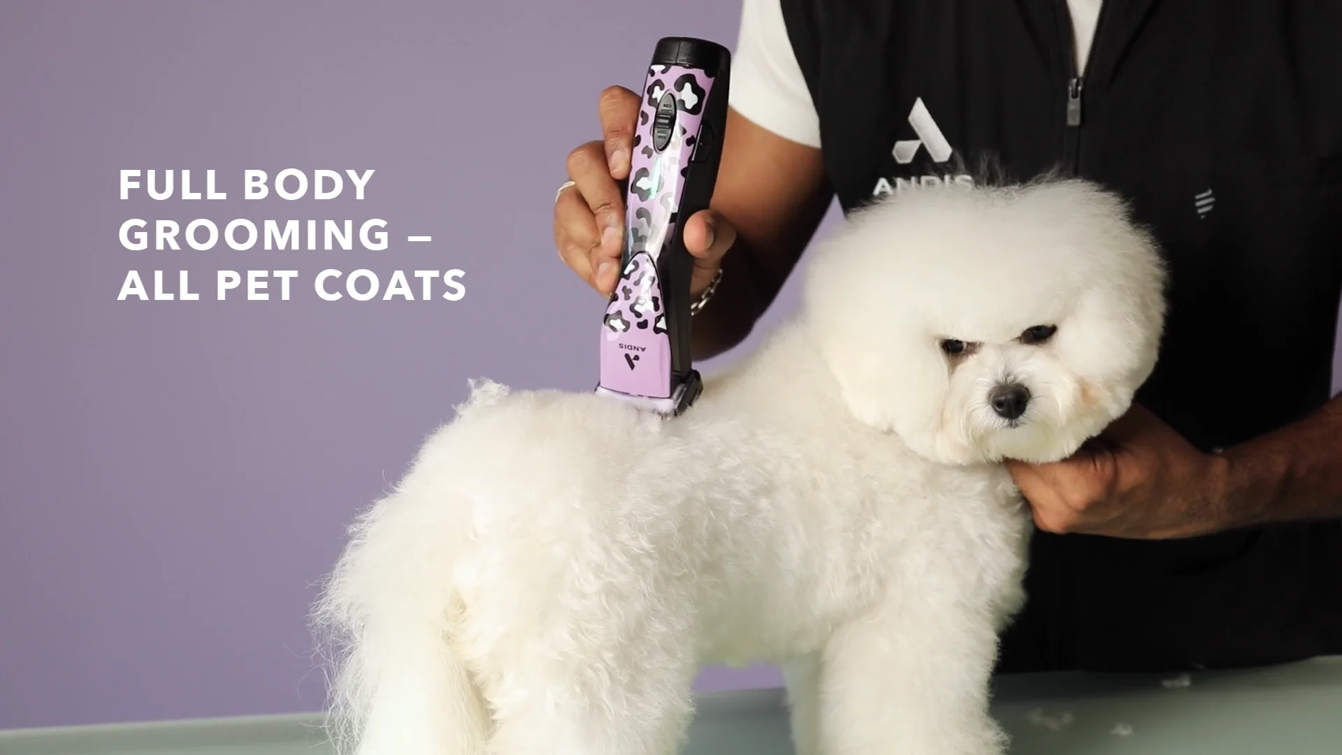 Pulse ZR(R) II - Wild Detachable Blade Clipper | ANDIS