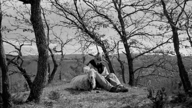 A thumbnail for the film 'Doesn't It Feel Like This Was the Beginning' by  uri barcelona