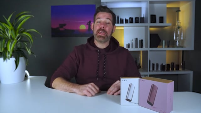 raz rainbow rain flavor review Rainbow Rain RAZ LTX DC25000 Vape