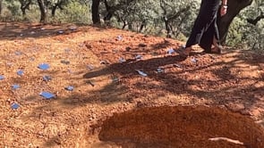 Related Embedded Video Item Thumbnail