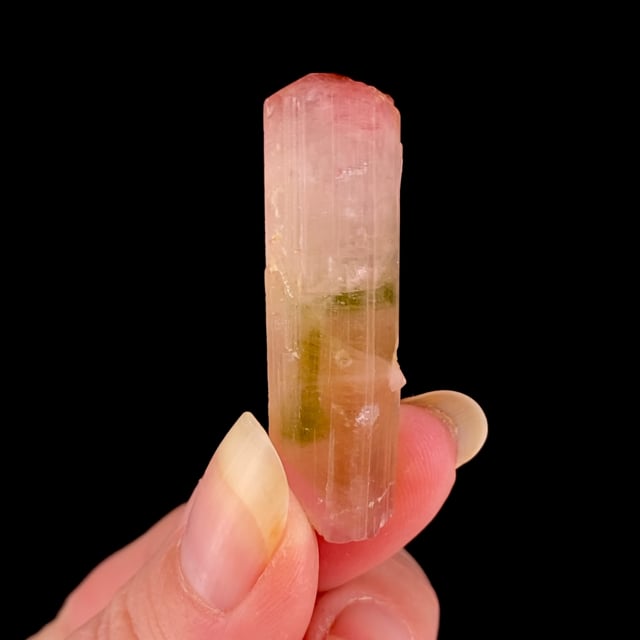 Tourmaline (multi-color doubly-terminated crystal)
