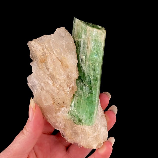 Tourmaline on Quartz (from the late 1800s!)