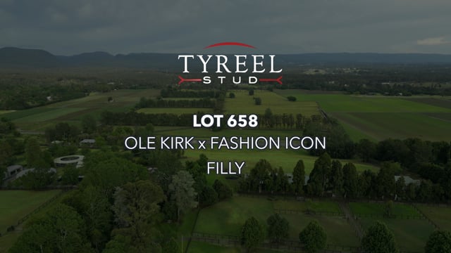 Lot 658 - Ole Kirk x Fashion Icon filly