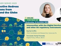 Intersection with the Digital Services Package and other EU Regulatory instruments